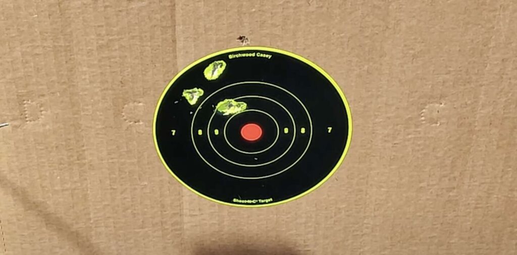 Taken at 25 yards, the 6.5 inch Barrel on the Heritage Tactical Cowboy is very accurate