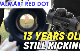 Can this 13 year old Walmart Red Dot Still hold up?