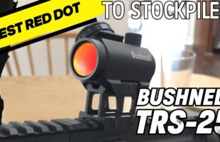 Bushnell TRS-25: The Best Red Dot for  Budget Builds